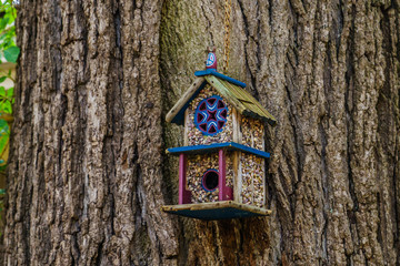 Beautiful wooden bird house on tree in New Hope