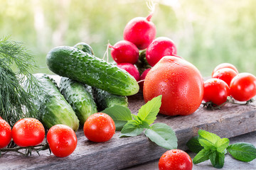 Fresh  vegetables  on wood table in the garden