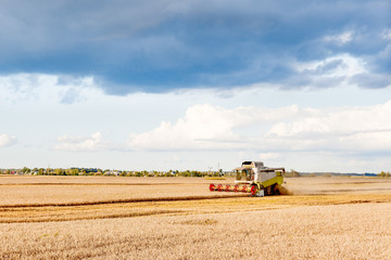 Harvester is woking during harvest time in the farmers fields, agriculture concept