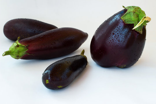 Purple eggplants on  white background.