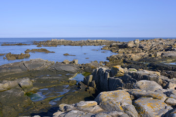 Rocky wild coast (Côte sauvage in French) at low tide of Le Pouliguen in Pays de la Loire region in western France