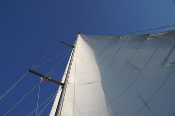 Sail 1