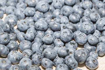 Blueberries , close-up shot