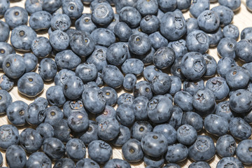 Blueberries