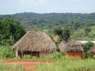 Fototapeta na wymiar African Village Landscape