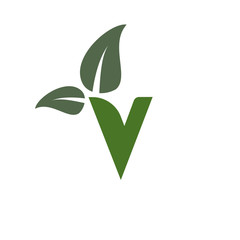 letter v leaf logo