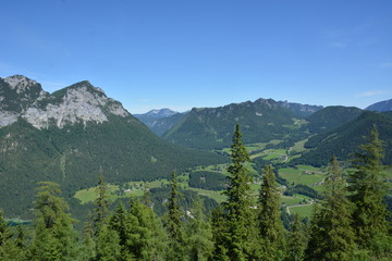 Bavarian Alps with trees