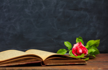Red rose on a vintage book on dark background