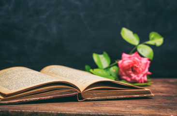 Red rose on a vintage book on dark background