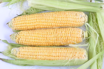 Corn cobs with leaves isolated on white background