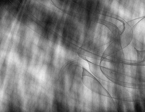 Webbed Shadows
