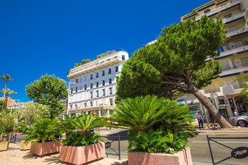 Street in Cannes city center, France, Europe.