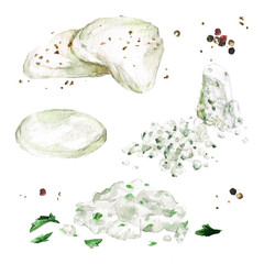 Creamy types of cheese. Watercolor Illustration. 