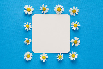 daisy flowers on the empty card