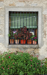 Fototapeta na wymiar Window of an old house with plants