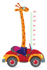 Naklejka premium Giraffe on car. Meter wall or height chart