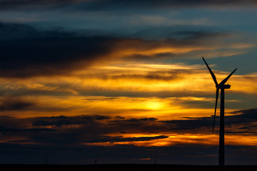 éoliennes au coucher du soleil