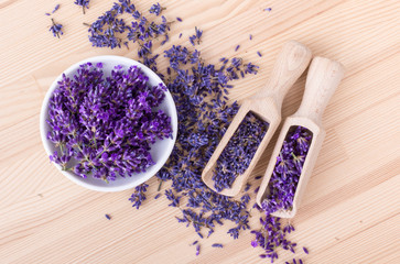 Obraz premium lavender flowers / Fresh and dried lavender flowers 