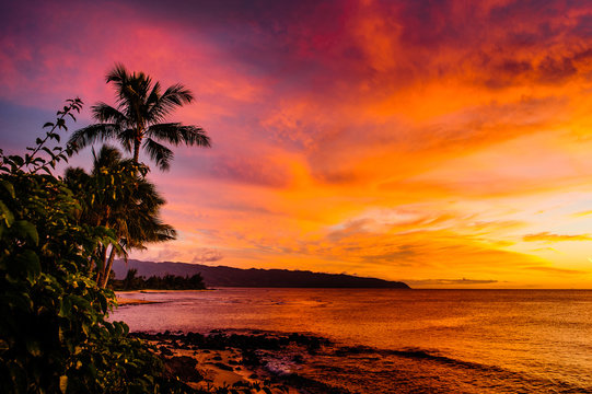 Sunset over North Shore Oahu Hawaii over ocean © everydoghasastory