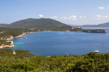 Fototapeta na wymiar Summer landscape with green bushes on Sardinia Island