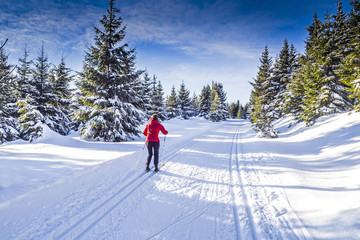 Frau beim Langlaufen in Winterlandschaft