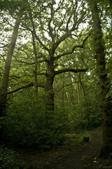 Obraz premium Adventure 