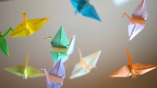 Colored origami crane birds waving in wind, summer breeze, first love, childhood
