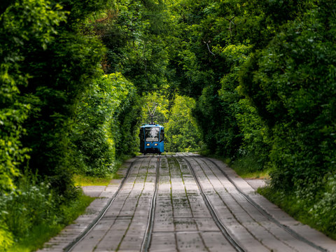 The tram goes through dense thickets of trees. The path through the tunnel. Summer landscape in the Park with the tram. Russia. Moscow. Sokolniki Park.