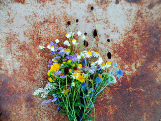 wild flowers on rusty metal