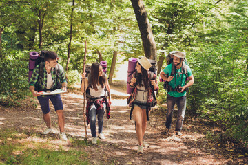 Four excited tourists are walking in autumn forest, talking and enjoying, wearing comfortable outfits for hiking, sneakers, hats, have backpacks