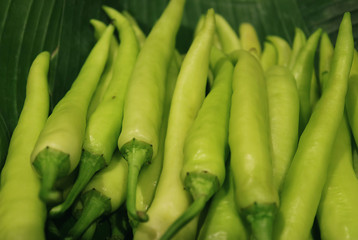 Pile of vibrant green fresh capsicum on banana leaf with selective focus 