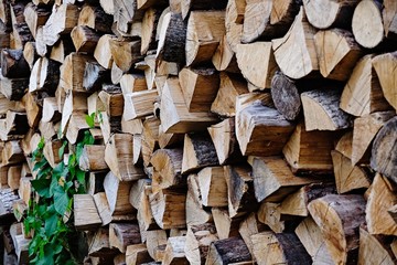 Pile of chopped firewood logs. Prepared for winter heating season