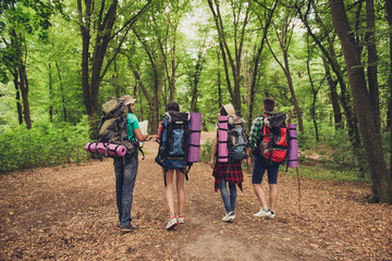Rear view of four tourists walking in the forest, holding map, trying to find the way, disscus it, all having backpacks, mates