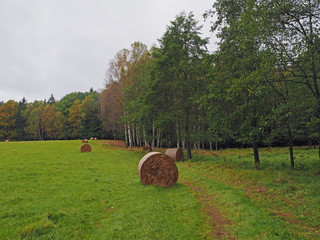 Naklejka na ściany i meble straw bales on the autumn green meadow and colorful