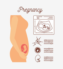 white background with color silhouette pregnancy process in female body vector illustration