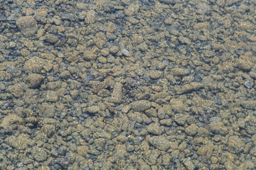 Many stones lie under the transparent surface of the river