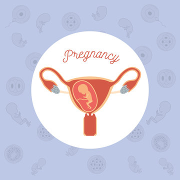yellow color background pattern pregnancy icons with fetus human growth in placenta trimestrer in female reproductive organ vector illustration