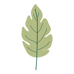 green light color of lobed leaf plant vector illustration