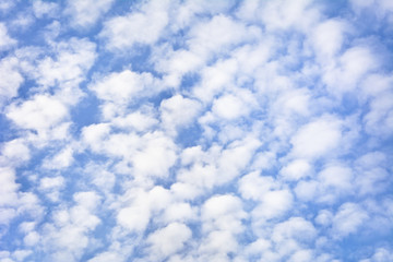 High clouds on a clear summer day. Background.