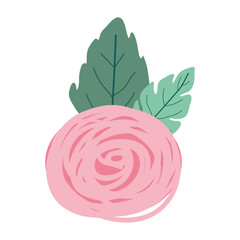 hand drawing pink color of bud rose flower with leaves vector illustration