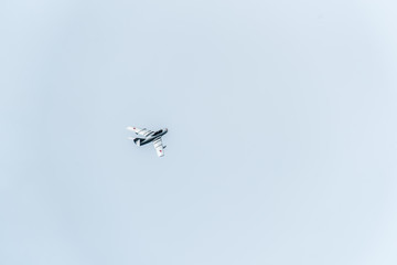 Fototapeta premium Air Show