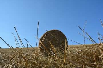 Blick vom Boden aus auf einem Strohballen mit Strohhalme
