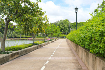 Urban parks or public benjakiti park in day time.