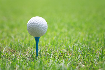 Golf ball on wooden golf tee.