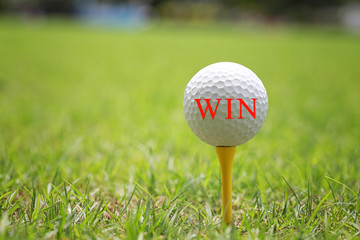 The red letter of Win on white Golf ball.
