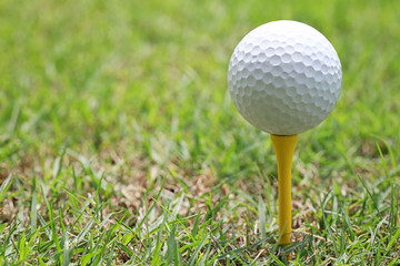 Golf ball on wooden golf tee.