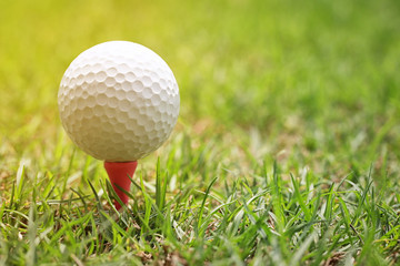 White golf ball and morning sunlight.