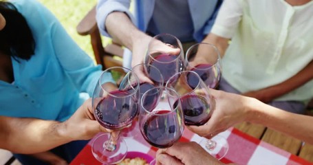 Family toasting glasses of red wine in the park