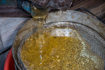 Strain the poured honey through a sieve. How to Harvest Honey. Filtering raw honey.
