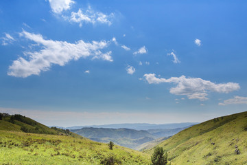 Yellow-green hill and sky with clouds. Wild grasses. Mixed grass. Summer sunny day. Beautiful summer landscape.